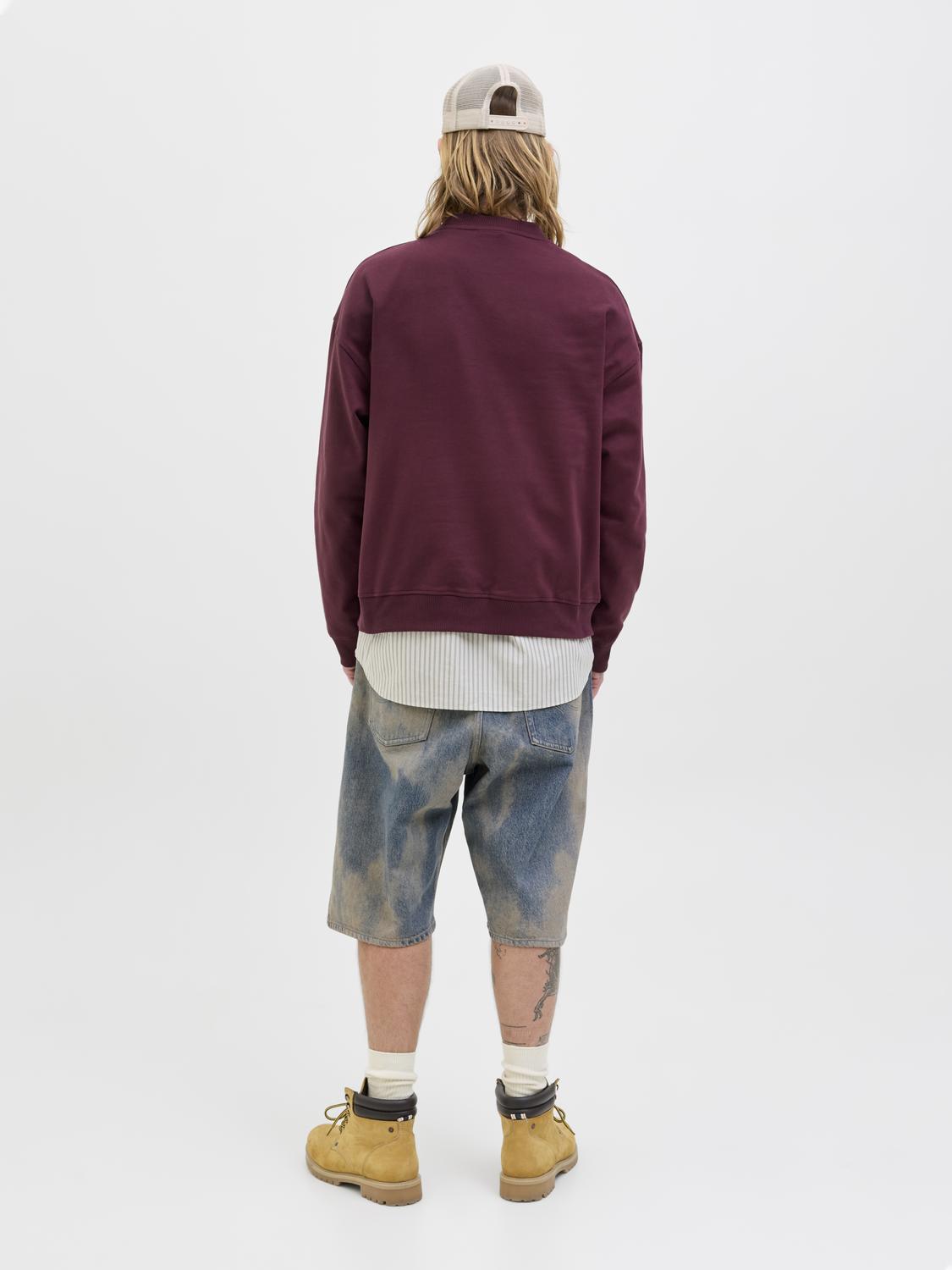 model_shot-back
